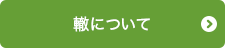 轍について