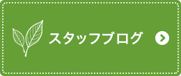 スタッフブログ